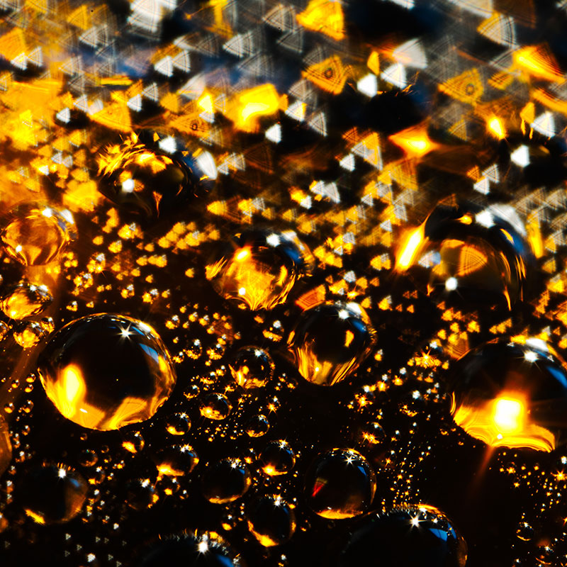 DEGENBIER Unikat BLISS