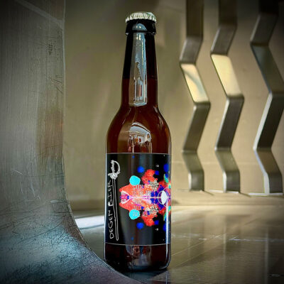 DEGENBIER Catch of the Day Flasche